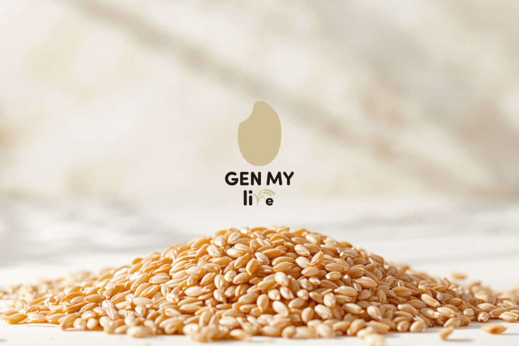 HP開設のお知らせ